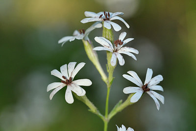 BUITEN BEELD Foto: 276611