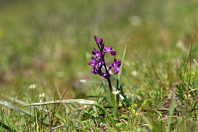 BUITEN BEELD Foto: 276633