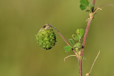 BUITEN BEELD Foto: 276641