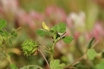 BUITEN BEELD Foto: 276642
