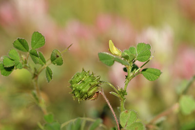 BUITEN BEELD Foto: 276643