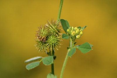 BUITEN BEELD Foto: 276644