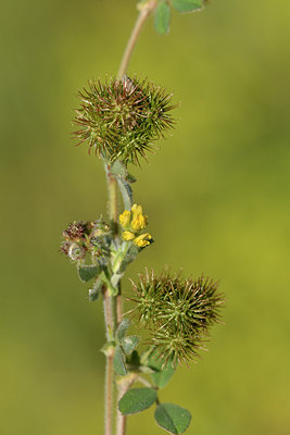 BUITEN BEELD Foto: 276647