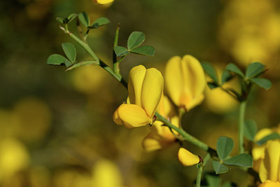 BUITEN BEELD Foto: 276663