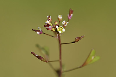 BUITEN BEELD Foto: 276664