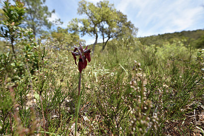 BUITEN BEELD Foto: 276666