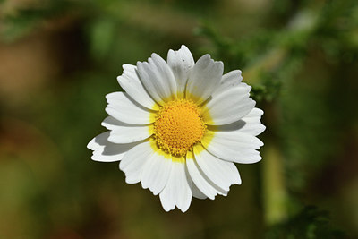 BUITEN BEELD Foto: 276671