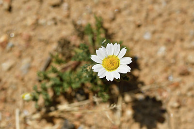 BUITEN BEELD Foto: 276676