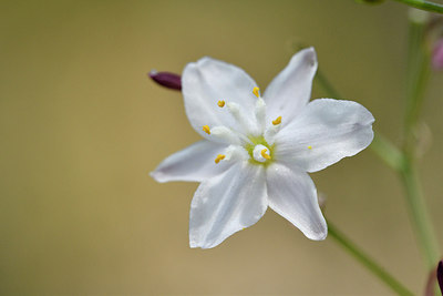 BUITEN BEELD Foto: 276688