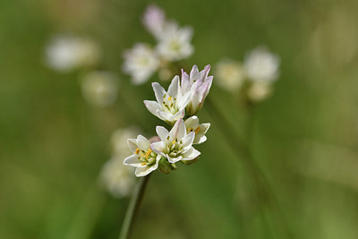 BUITEN BEELD Foto: 276699