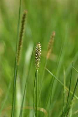 BUITEN BEELD Foto: 276700