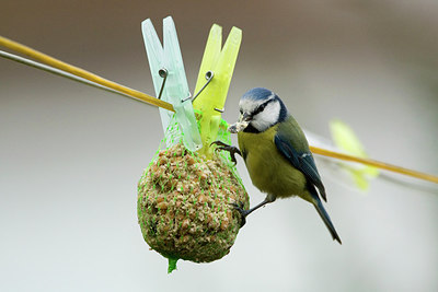 BUITEN BEELD Foto: 276717