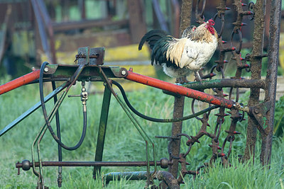 BUITEN BEELD Foto: 276747