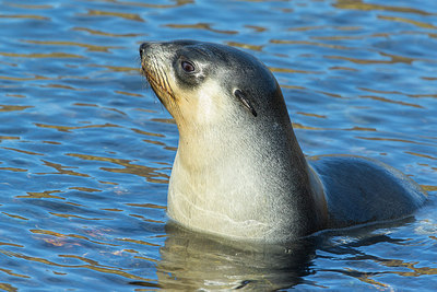 BUITEN BEELD Foto: 276759