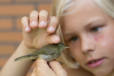 BUITEN BEELD Foto: 276839
