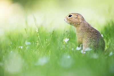 BUITEN BEELD Foto: 276844