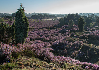 BUITEN BEELD Foto: 276875