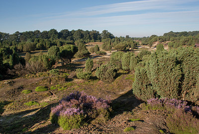 BUITEN BEELD Foto: 276876