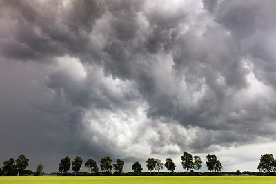 BUITEN BEELD Foto: 276890