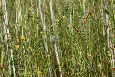 BUITEN BEELD Foto: 276941