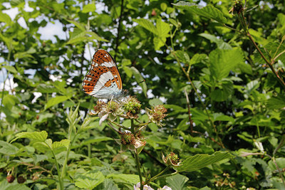 BUITEN BEELD Foto: 276947
