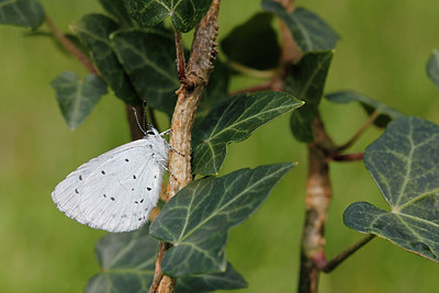 BUITEN BEELD Foto: 276967