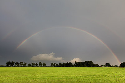 BUITEN BEELD Foto: 277012