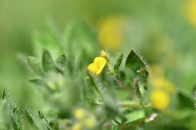 BUITEN BEELD Foto: 277226