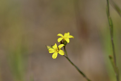 BUITEN BEELD Foto: 277250