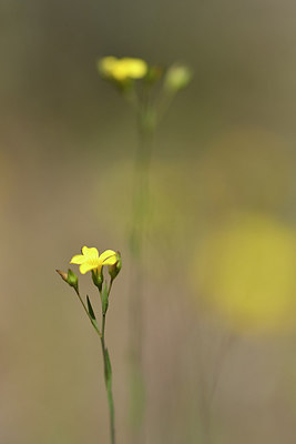 BUITEN BEELD Foto: 277251