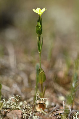 BUITEN BEELD Foto: 277254