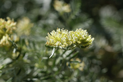 BUITEN BEELD Foto: 277282