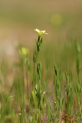 BUITEN BEELD Foto: 277329