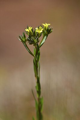 BUITEN BEELD Foto: 277332