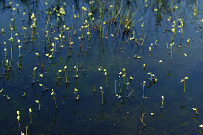 BUITEN BEELD Foto: 277351
