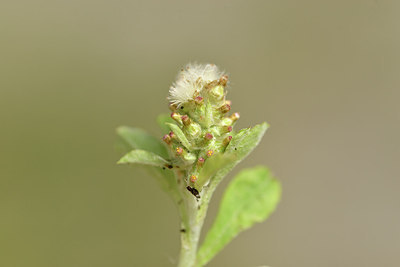 BUITEN BEELD Foto: 277366