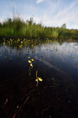 BUITEN BEELD Foto: 277369