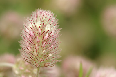 BUITEN BEELD Foto: 277504