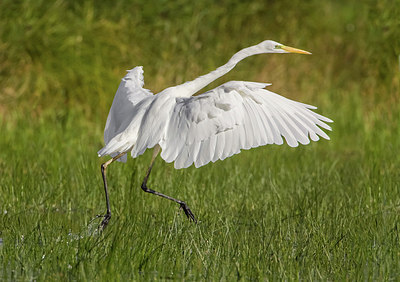 BUITEN BEELD Foto: 277565