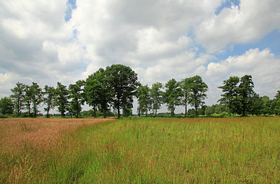 BUITEN BEELD Foto: 277575