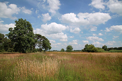 BUITEN BEELD Foto: 277576