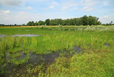 BUITEN BEELD Foto: 277579