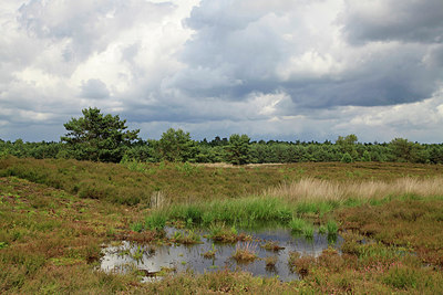 BUITEN BEELD Foto: 277589