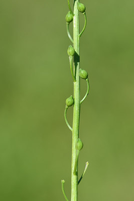 BUITEN BEELD Foto: 277688