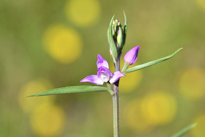 BUITEN BEELD Foto: 277800