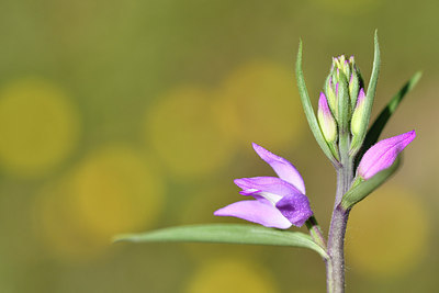 BUITEN BEELD Foto: 277801