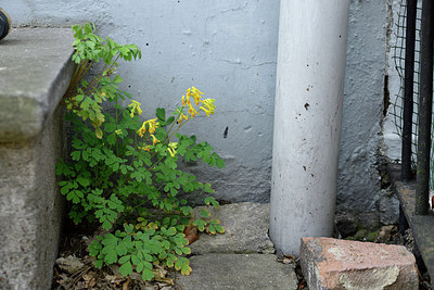 BUITEN BEELD Foto: 277820
