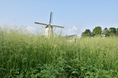 BUITEN BEELD Foto: 277847