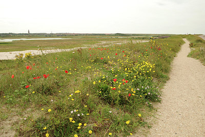 BUITEN BEELD Foto: 277945