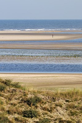 BUITEN BEELD Foto: 277993